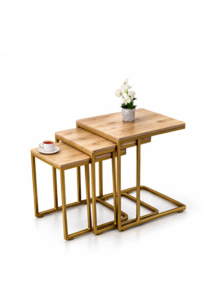 Riyes Tasarım Ahşap 3’lü Tekerlekli Zigon Sehpa Seti – Gold Metal Ayaklı – Mo...