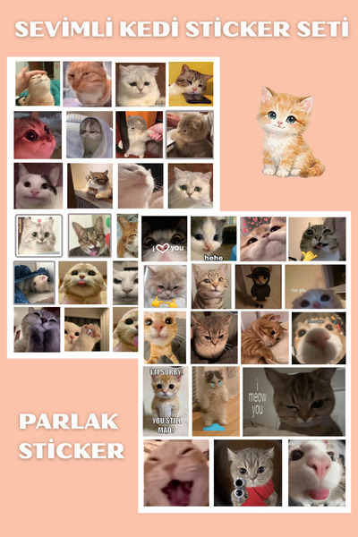 Hanelia Art Kedi Sticker Seti 42 Adet – Sevimli Kedi Çıkartmaları | Laptop, D...