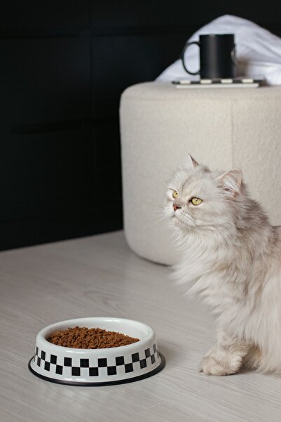 EMAYlab Emaye Kedi Köpek Mama Ve Su Kabı Dama