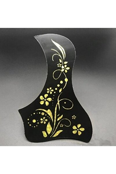 Raymond Joes واقي الجيتار PG157G من Bird Polite Sar