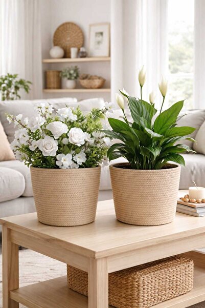 bayram taşcıoğlu home desing 2 Adet Saksılık Düzenleyici Hediyelik Sepet Saks...