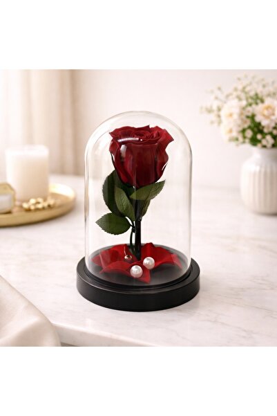 velve Trandafir criogenat in cupola de plastic, pe pat de petale, rosu, Rosu