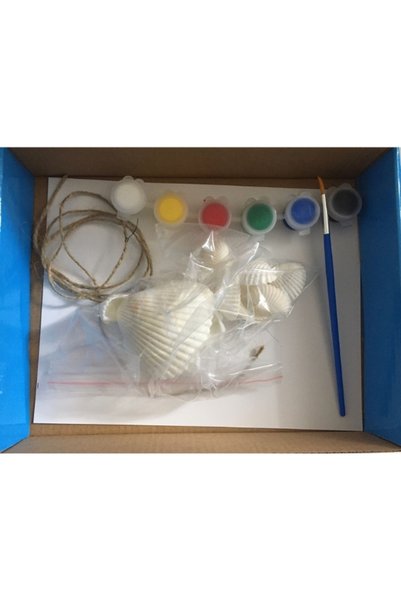 ZEKA DOLABI Shell Painting (Paint, Painting, Seashell, Activity, Activity Set)