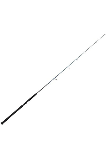 Savage Gear SGS2 Jigging 591.80m 40-120gr Tek Parça