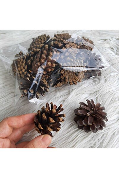lolipophobi Kozalak Doğal 10 Adet, Doğal Ürün, Çam Kozalak,dekor