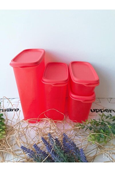 Tupperware Renki Oval Saklama Kapları Set 4'lü