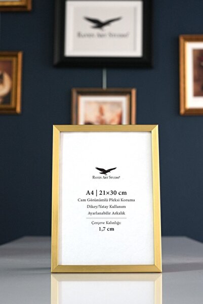Raven Art Studio إطار وثائق وصور ذهبي مقاس A4 من Ermitaj، مقاس 21 سم × 30 سم،...