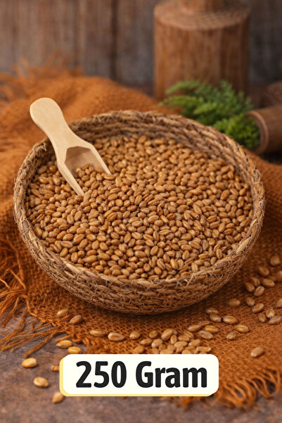 ÜLKÜ KURUYEMİŞ (250 GR) Buğday Kavurgası %100 Taze Kavrulmuş