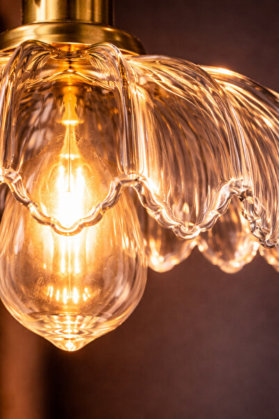 Luna Lighting Petra Model Şeffaf Cam Klasik Oturma Odası Salon Mutfak Antre Sarkıt Tekli Avize
