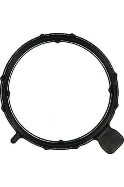 Other جلود غطاء بلوف