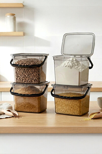 NESS HOME 4-Piece Mega Size (4 Liter) Flour Storage Container with Handle - G...