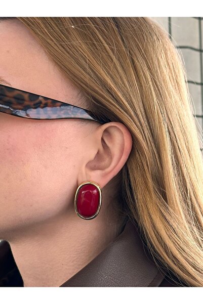 Charmist Steel Larina Burgundy Earrings