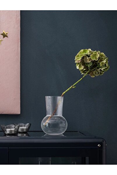 IKEA Cam Vazo Yükseklik 17 Cm Şeffaf Çiçek Bitki Vazosu Masaüstü Dekoratif Vazo Çap: 12 Cm