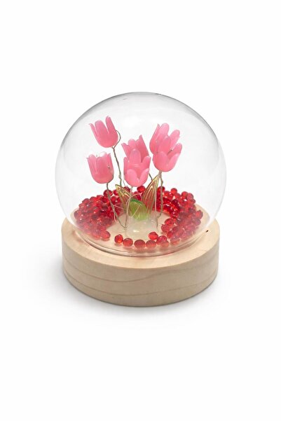 DİĞER1111 Dekoratif Işıklı Lale Fanus – Cam Küre İçinde LED Çiçek – 4 Renk Se...