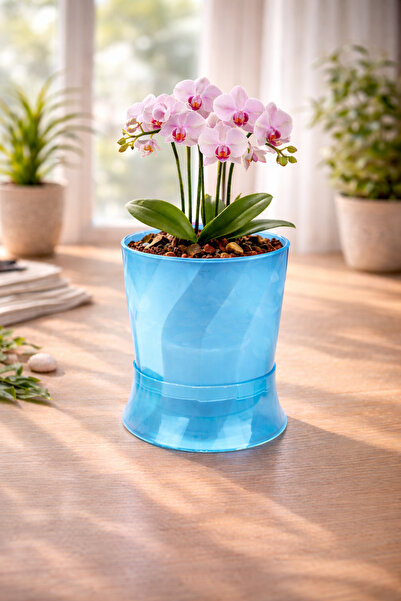 Melkan Home Şeffaf Mavi Orkide Saksısı 1,3 Litre – Kristal Görünümlü Tasarım,...