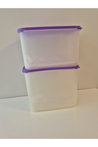 Tupperware Modular Storage Container 2-Pack Mega Size with Grid
