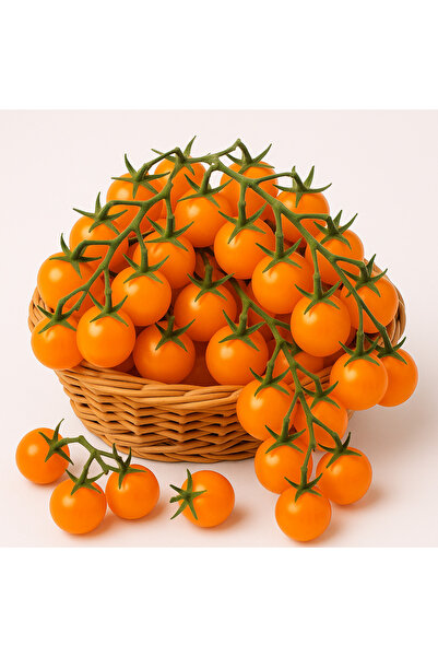 Fideon Turuncu Çeri Domates Fidesi | Bahçe ve Saksıya Uygun - 6 Adet
