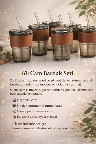 Store Deri kılıflı pipetli cam bardak 6 adet