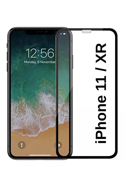Paladyum Case 3D Antistatic Glass Screen Protector Compatible with iPhone 11 ...