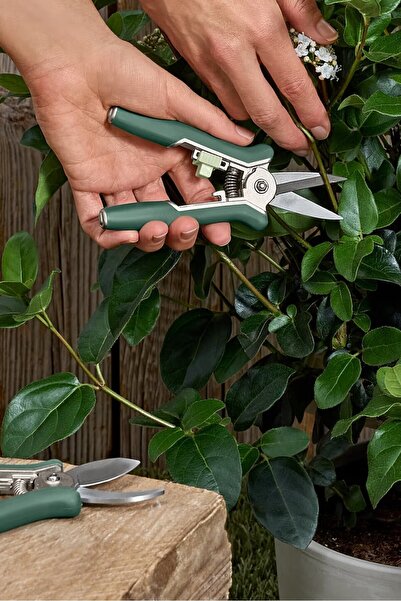 Tchibo 2Pcs Mini Pruning Shears, Green