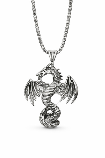 DeNors Men's Silver Color Dragon Pendant – Men's Necklace with Viking Dragon ...