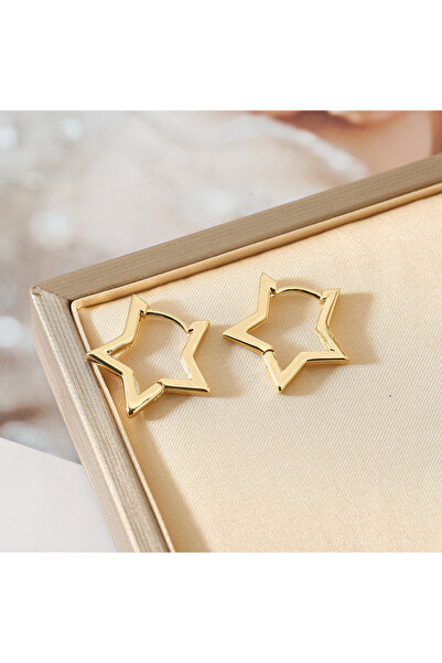 Choice Gold-color Stainless Steel Star Hoop Earings For Women 2024 Trend New ...