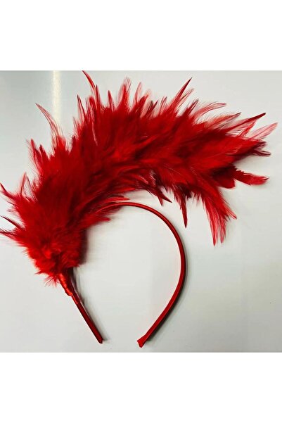 Choice13 2 pretty Women Colorful Feather Hair Hoop Fashion Headband Hair Band...