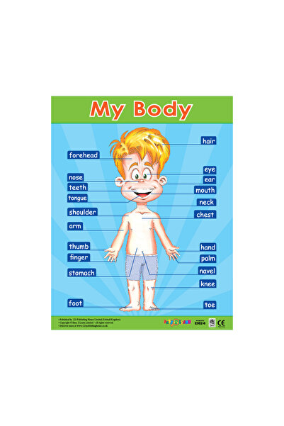 123Publishing House جسمي - لوحة جدارية باللغة الإنجليزية