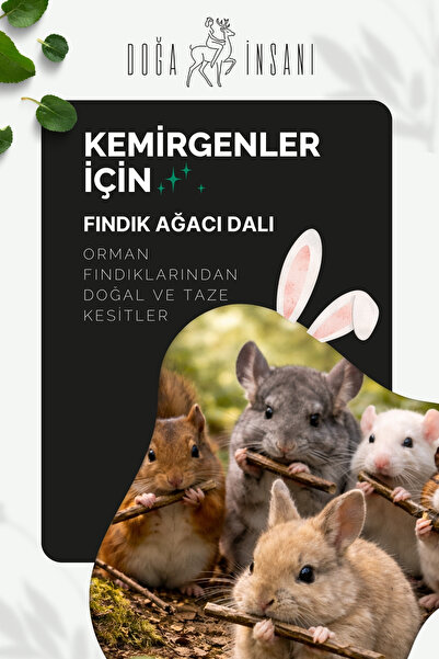 Doğa İnsanı Kemirgenler İçin Doğal Fındık Dalı 25 Adet (0,5–1 cm Çap) | Tavşa...