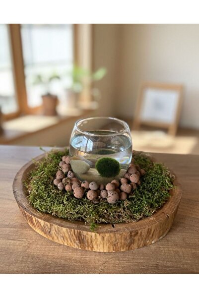 Er-Se Tasarım Water Forest, Decorative Item, Gift for a Friend, Gift for Mom,...