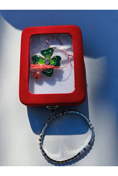 Nu Bracelet and brooch set