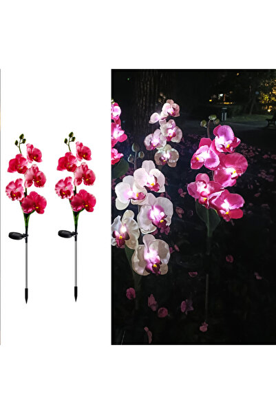 Homegenius Set 2 x Lampi Solare Orhidee cu LED – Decor Romantic pentru Gradina