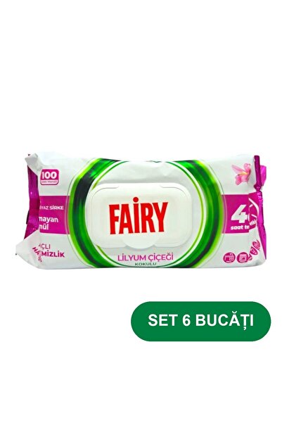 Fairy SET 6 PIECES - Lilyum Wet Surface Cleaning Wipes, 100 Count
