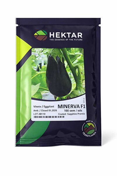 Hektar Semințe Vinete MINERVA F1 – 100 semințe –
