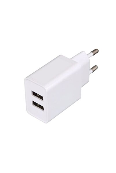 Home Network Charger with 2 USB, 2.4 A