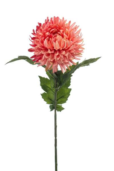 Noname Artificial spider chrysanthemum, red, 57 cm