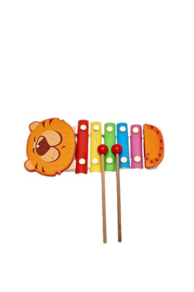 decotoys Xilofon lemn colorat