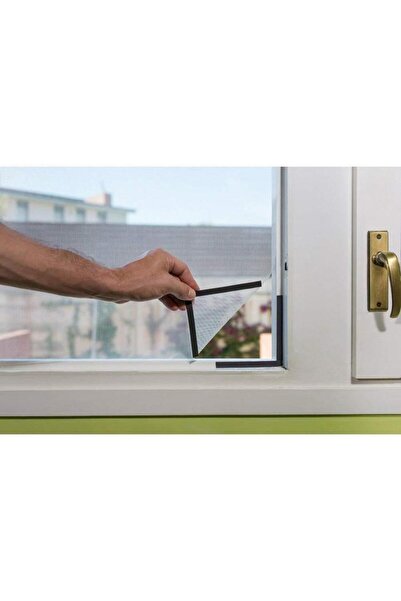 Vivendo Plasa magnetica anti tantari, Screentastic Pro