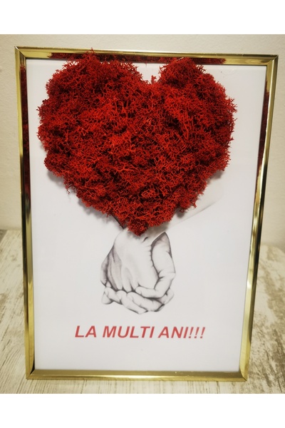 Eom Table with licheni