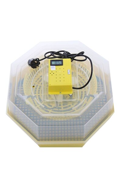 Cleo 5T Electric Egg Incubator with Thermometer