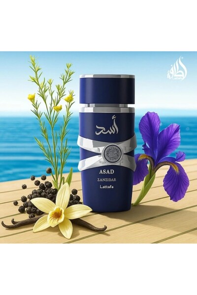 lattafa Asad Zanzibar Eau de Parfum, men, 100 ml