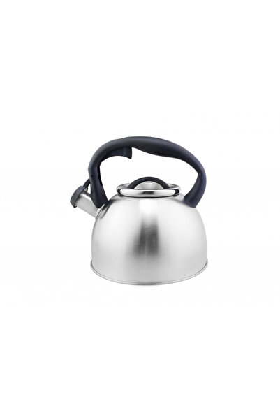 Floria Stainless steel kettle with whistle ZLN1269, 3L, induction, gas, elect...