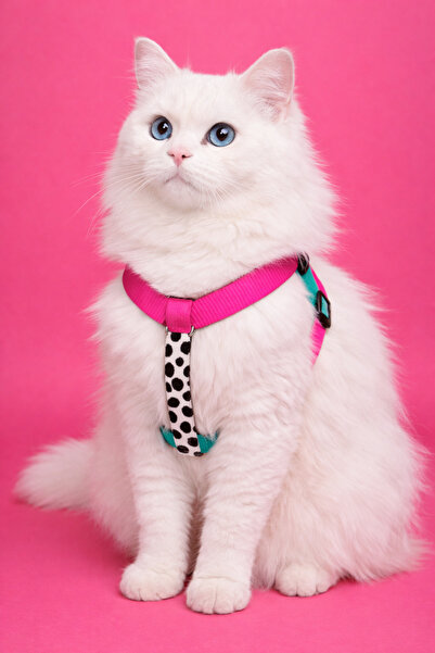 MOOD PAW Cat Chest Harness Sugar Mood Anti-Pulling Adjustable H Type Harness