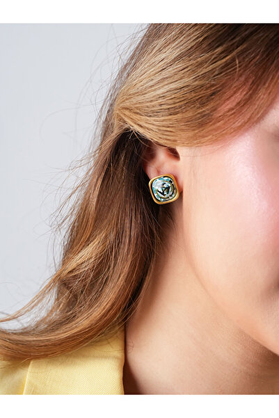 PAPILIO Elaya- Hares