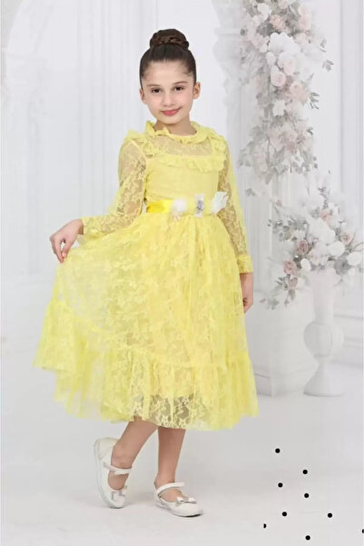 diamondstar Rochie de petrecere pentru fete, costum pentru ziua de naștere și...