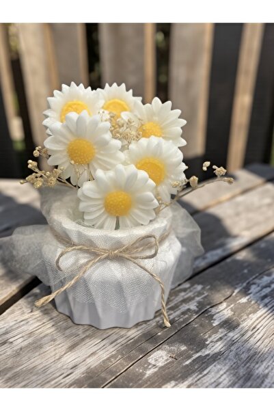 magnocandles Papatya Mum seti Saksıda - Kadınlar Günü, Anneler Günü, Doğumgün...
