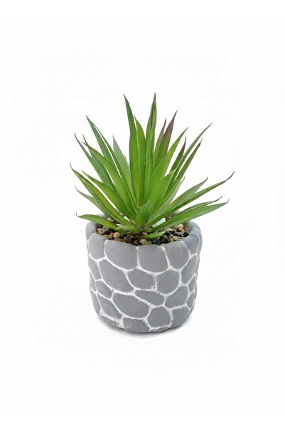 DUX Realistic Artificial Succulent with Decorative Grey Stone Pot – Small Fau...