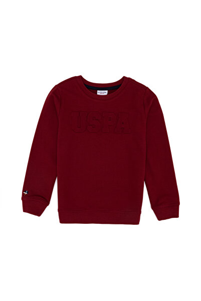 U.S. Polo Assn. سويت شيرت أساسي أحمر للأولاد 50236949-VR030