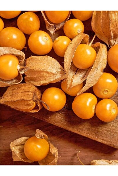 Labari Altın Çilek Meyvesi Gooseberry 100 Gram