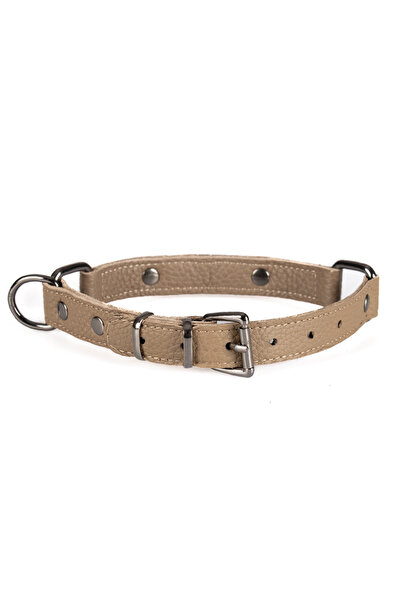 Petsuit Dog Collar - 100% Leather - 3 Sizes